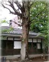 千駄木駅の物件